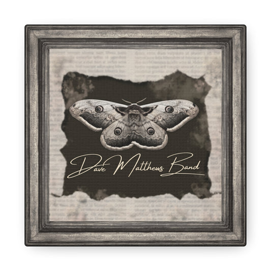 canvas -- DMB -- moth frame -- neutrals