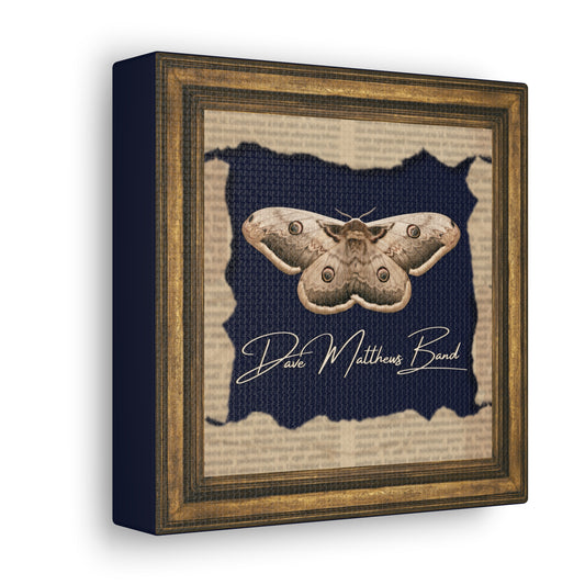 canvas -- DMB -- moth frame -- warm tones