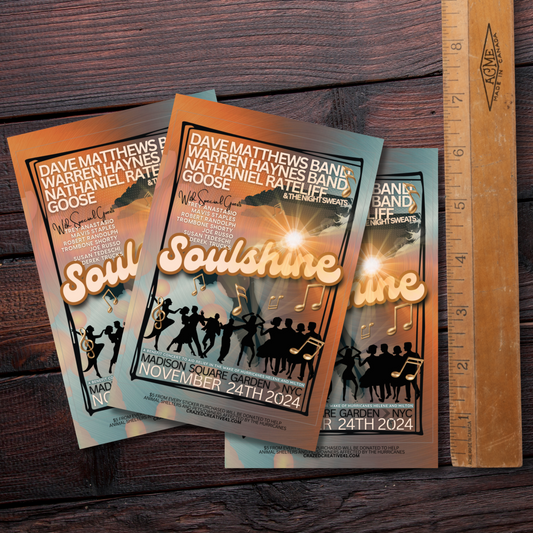 sticker - SOULSHINE - dmb - Warren Haynes - Nathaniel Rateliff - Goose -benefit concert for hurricane relief FREE SHIPPING WITH CODE 'SOULSHINE'