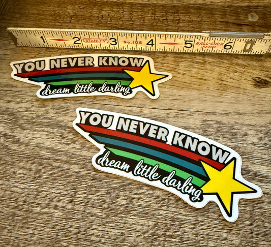 2. sticker - DMB - YNK - you never know - glossy finish - 4.5"